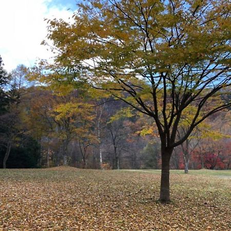 קארויזאווה Polar Haus Minamikaruisawa1 - Vacation Stay 88000V מראה חיצוני תמונה