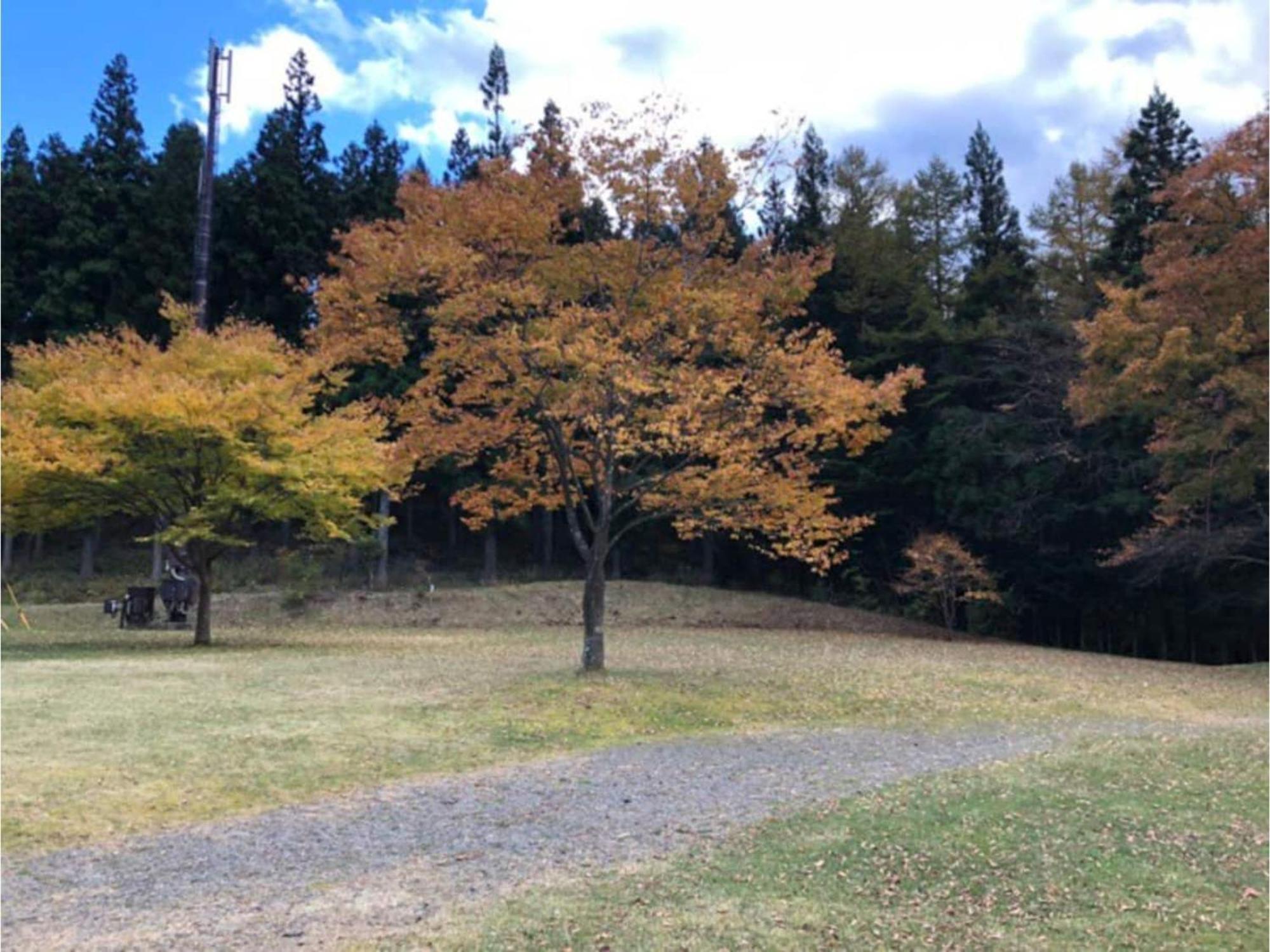 קארויזאווה Polar Haus Minamikaruisawa1 - Vacation Stay 88000V מראה חיצוני תמונה