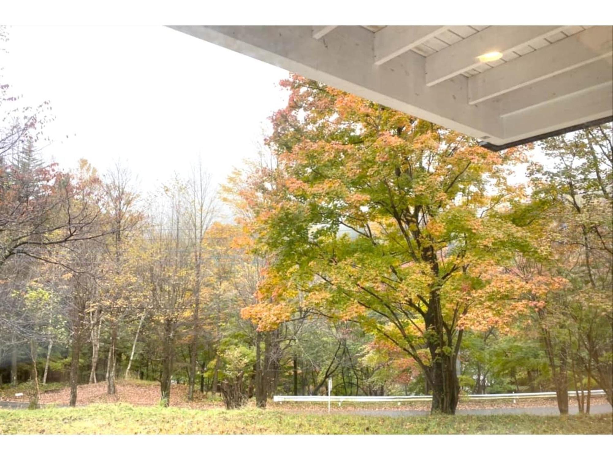 קארויזאווה Polar Haus Minamikaruisawa1 - Vacation Stay 88000V מראה חיצוני תמונה